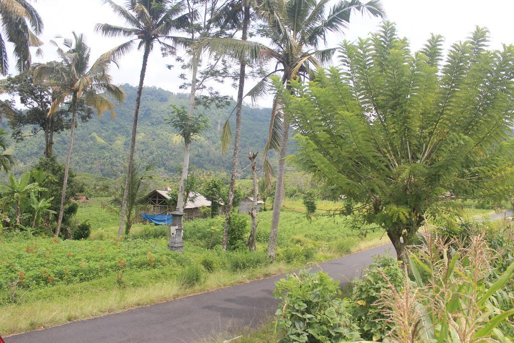 Lila Stana - Sidemen Homestay Exterior foto