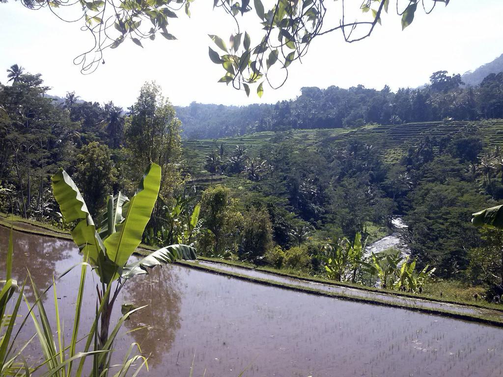 Lila Stana - Sidemen Homestay Exterior foto